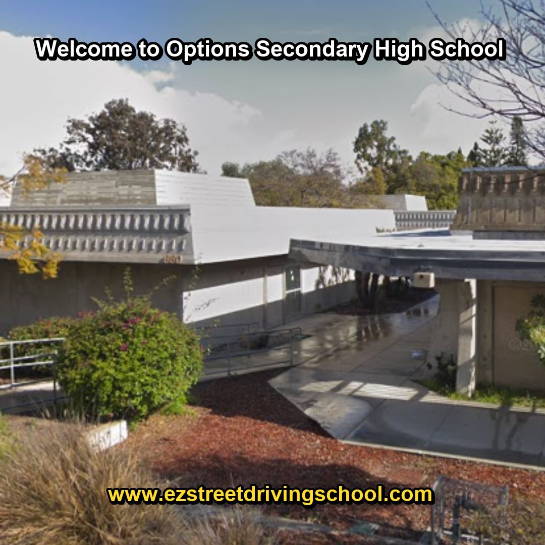 Options Secondary High School